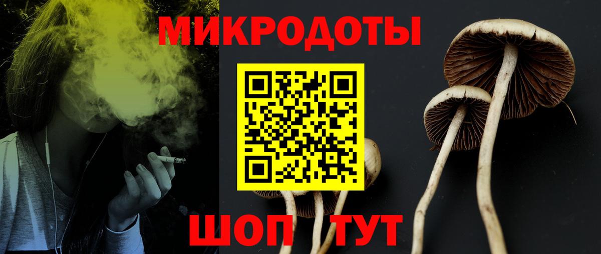 Псилоцибиновые грибы Cubensis  Вход с VPN  Вятские Поляны 